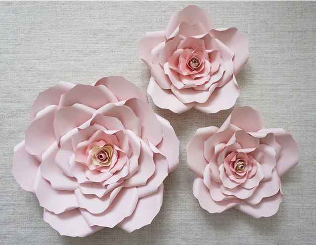Vos meilleurs conseils : les fleurs - 1