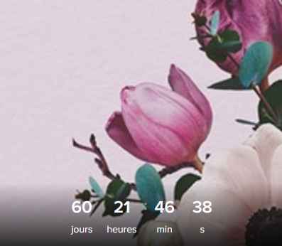 Dans 15 jours et dans 60 jours mes deux dates de mariage - 1