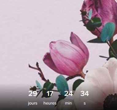 Mariée de début juillet vous en êtes ou? - 1