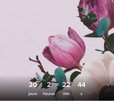 Dans 20 jours notre mariage (1er juillet) - 1