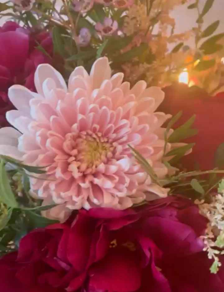 Budget fleurs - 5