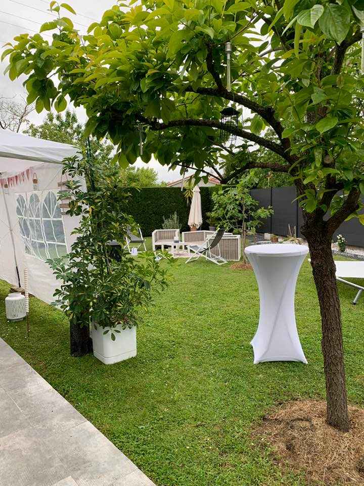Un Noël/mariage à la maison - 7