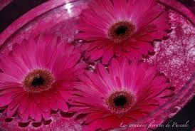 Fleurs - 2