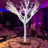 Décoration table d'honneur - 1