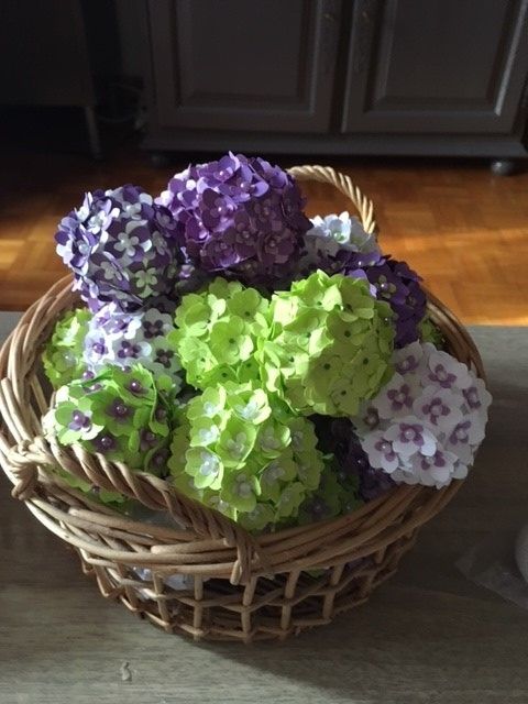 36 boules d'hortensia