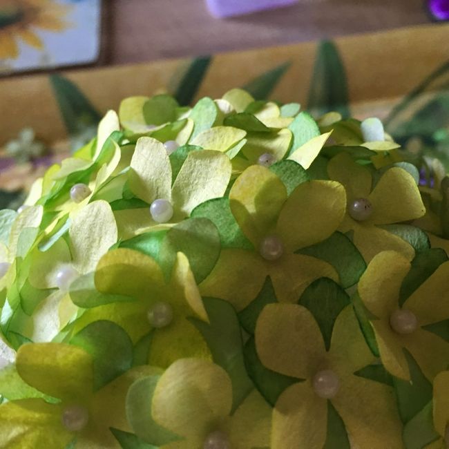 Boule d'hortensia en filtre à café - 5