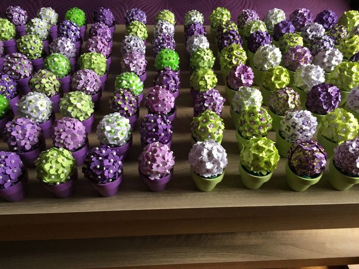 porte nom hortensia