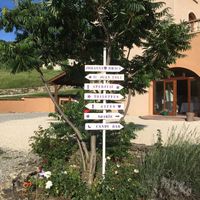 Décoration du mariage sur le thème du jardin en fleurd - 1