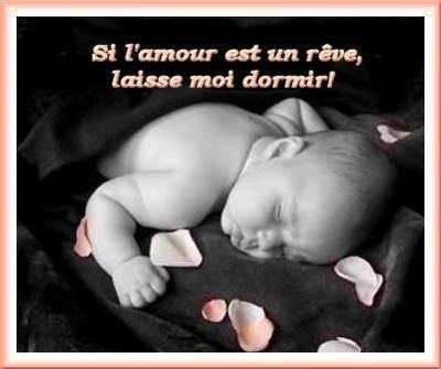Photo du jour