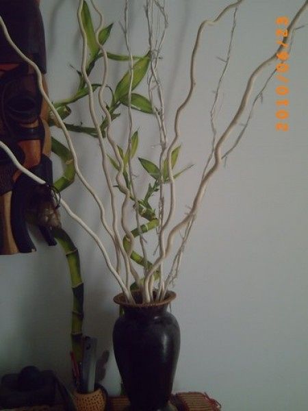 idée arbre à dragées