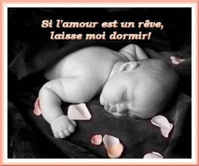 Photo du jour
