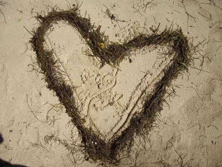 petit coeur de chéri