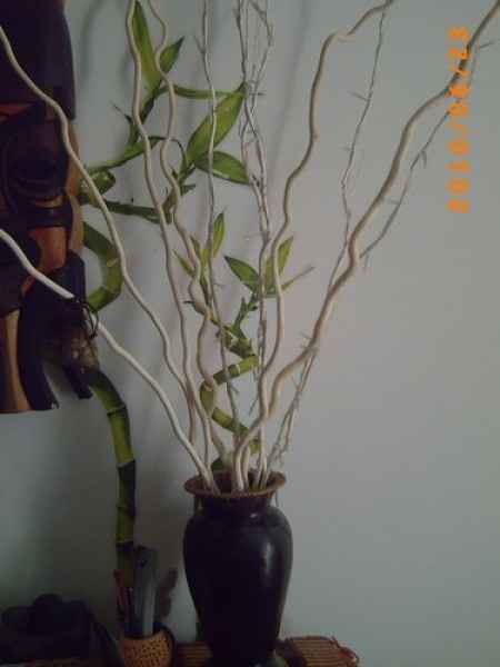 idée arbre à dragées