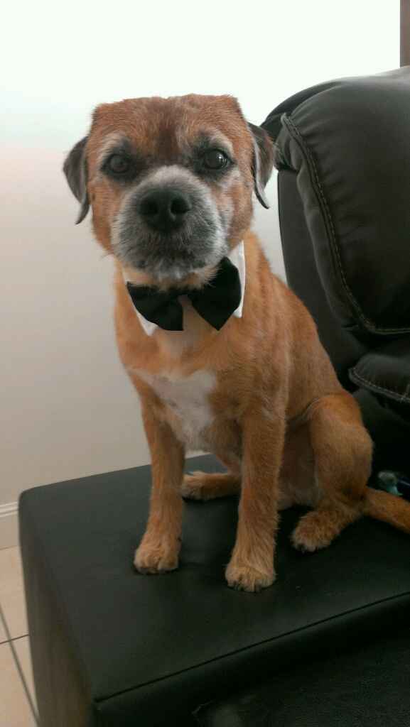 Commande etsy reçu - 1