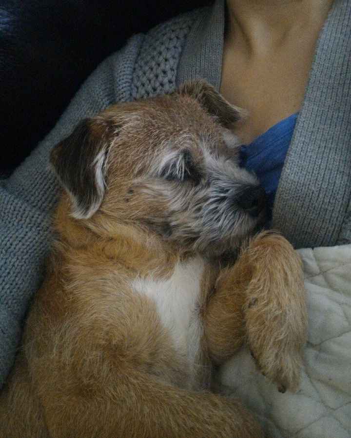 Pension réservée pour mon dindon... - 1