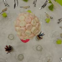 Les arbres à bonbon - 1