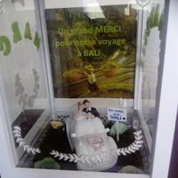 Vue de près sur l'intérieur