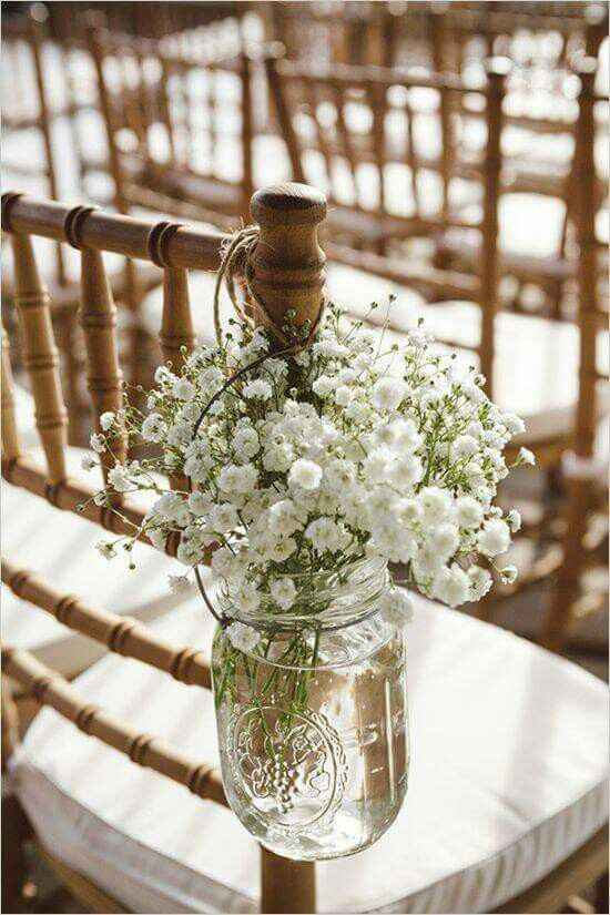 Le gypsophile dans tous ces états. .. - 5