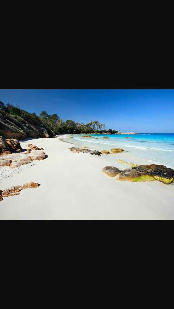 Destination lune de miel - 1