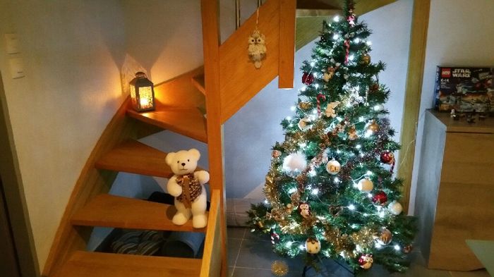 A vos sapins !!! - 1