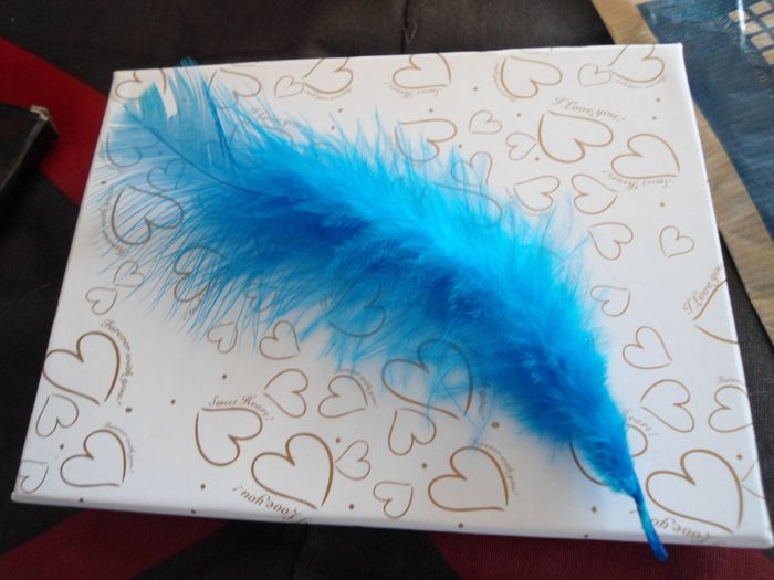 Plumes turquoises