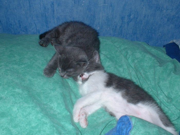 Mes deux bébés!!