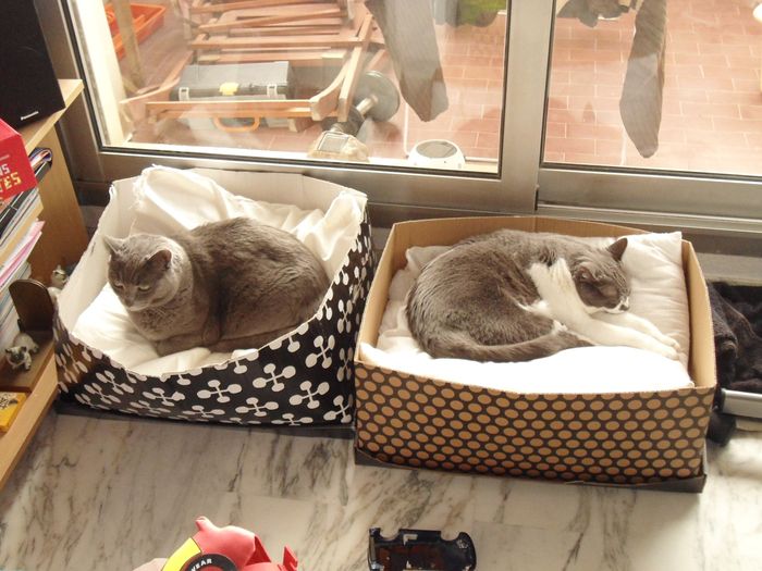 Mes deux bébés!!