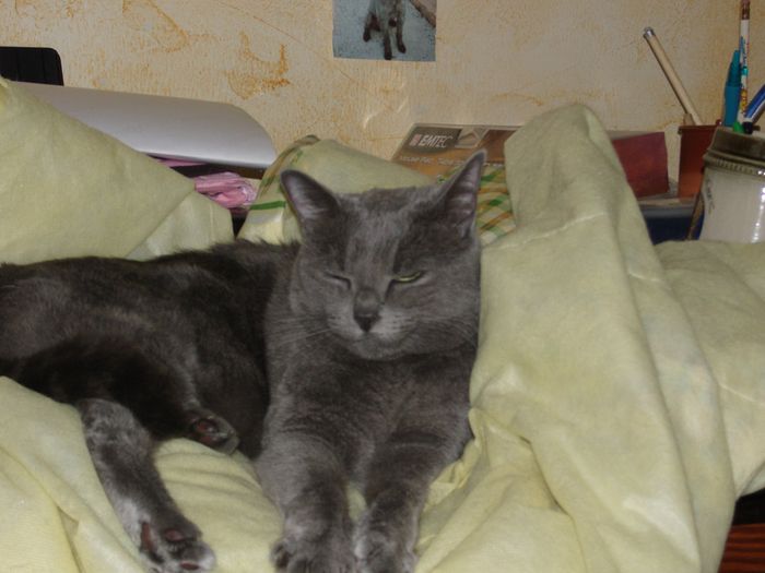 Mes deux bébés!!