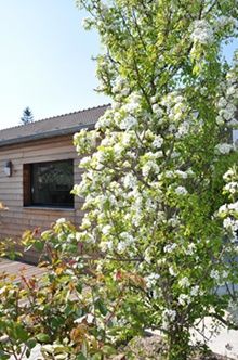 Le Suite Lodge