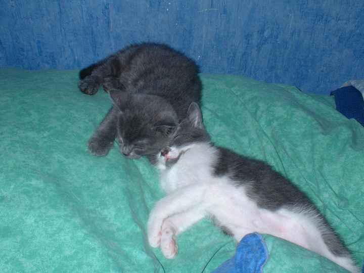 Mes deux bébés!!