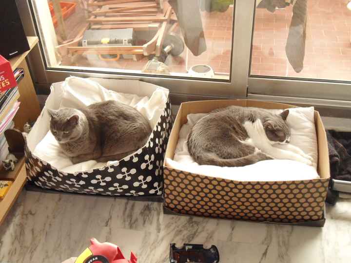 Mes deux bébés!!