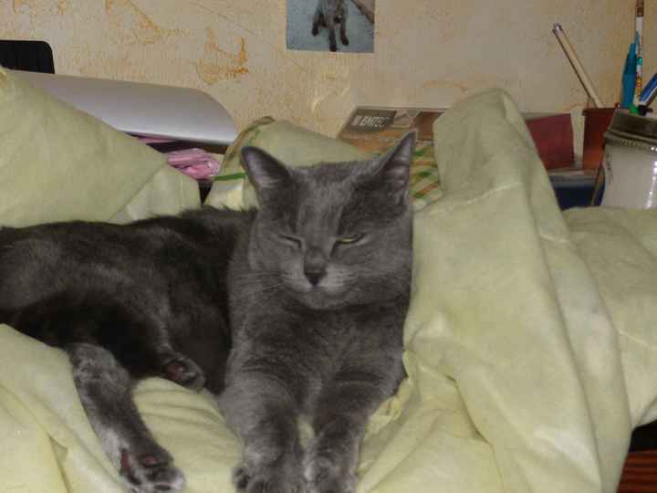 Mes deux bébés!!