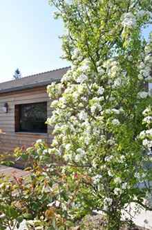 Le Suite Lodge