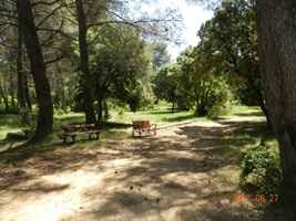 L'espace Pétanque