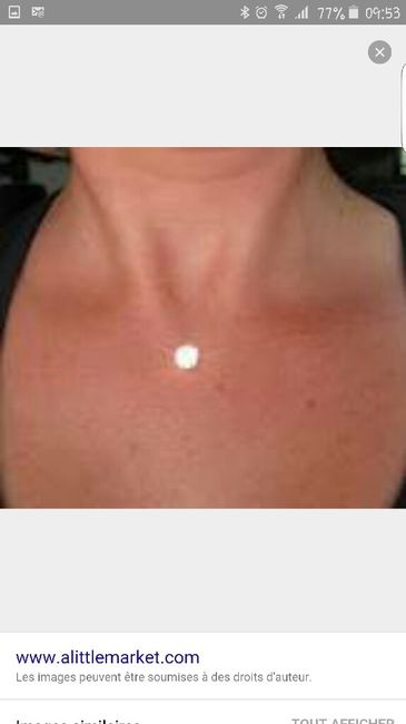 Besoin de vos conseils - le collier ? - 1