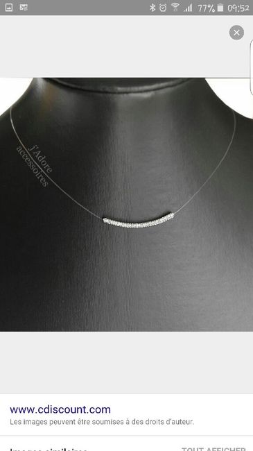 Besoin de vos conseils - le collier ? - 2