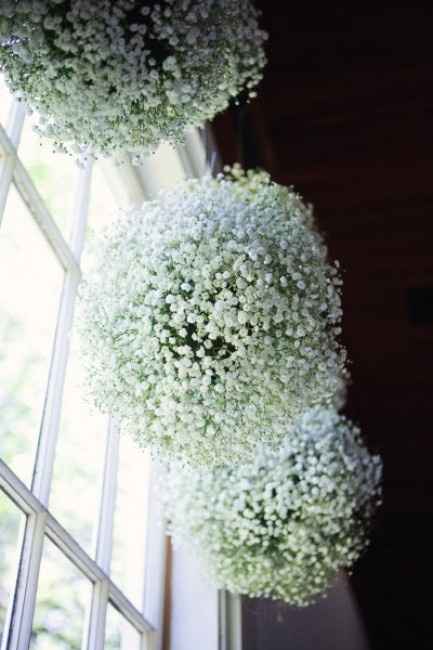 gypsophile