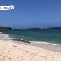 Demande en mariage parfaite sur une plage de rêve