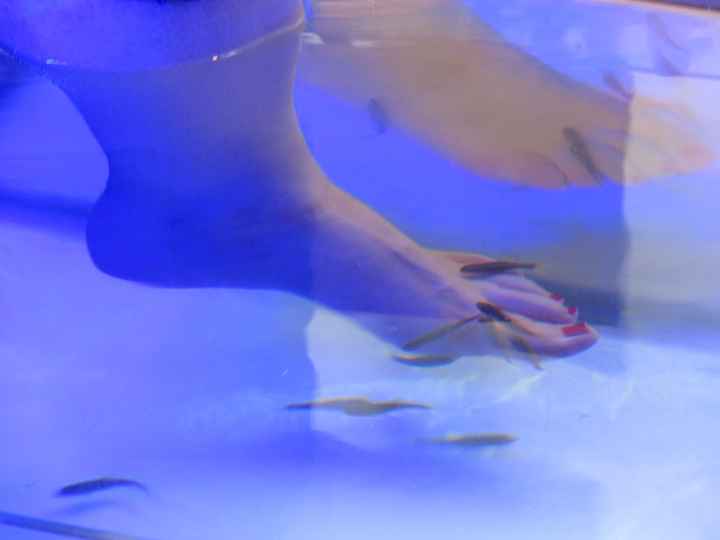 Mon pied