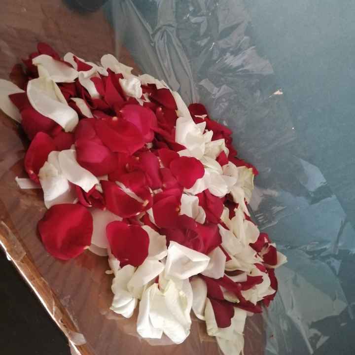 Dernière ligne droite ❤️❤️ - 1