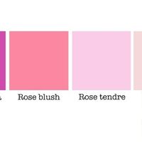 Nos couleurs = un dégradé de rose