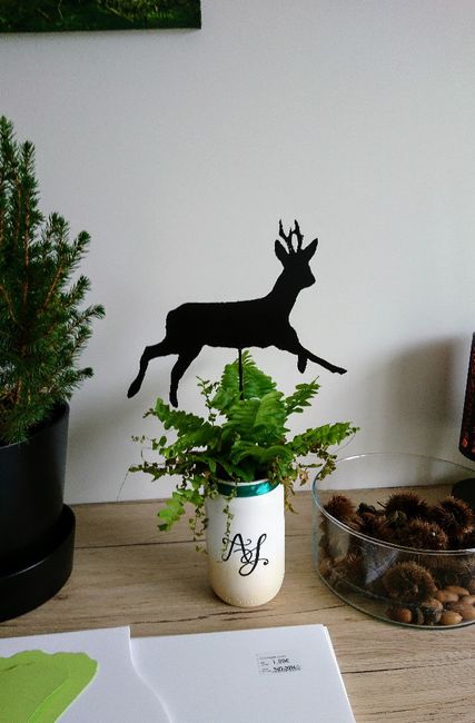 Avancées et tests de mon mariage en forêt 🌱🍃 - 5