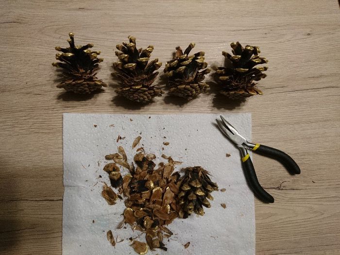 Avancées du jour, à vos avis les filles 😘 🌿 ! - 3