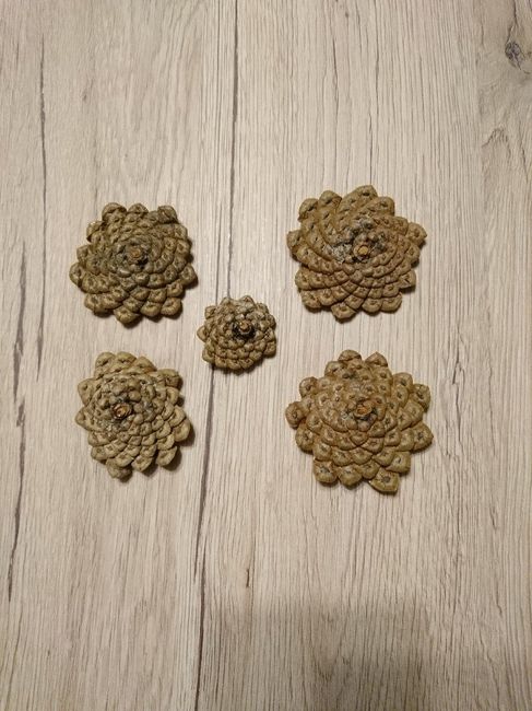 Avancées du jour, à vos avis les filles 😘 🌿 ! - 4