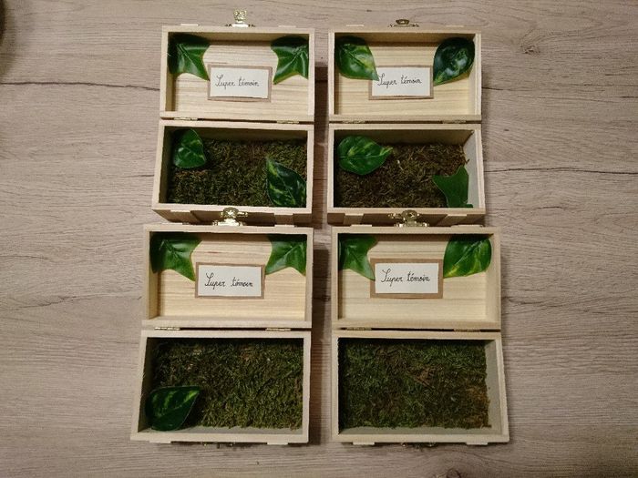 Menus finis et autres petites avancées 🌱 - 7