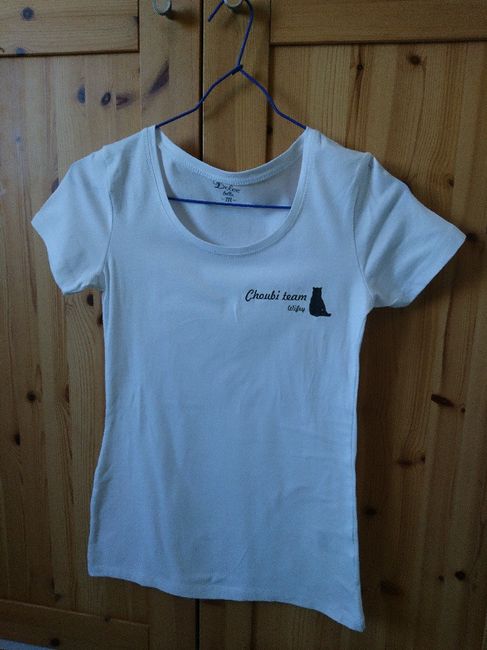 Tee-shirt personnalisé diy - 3