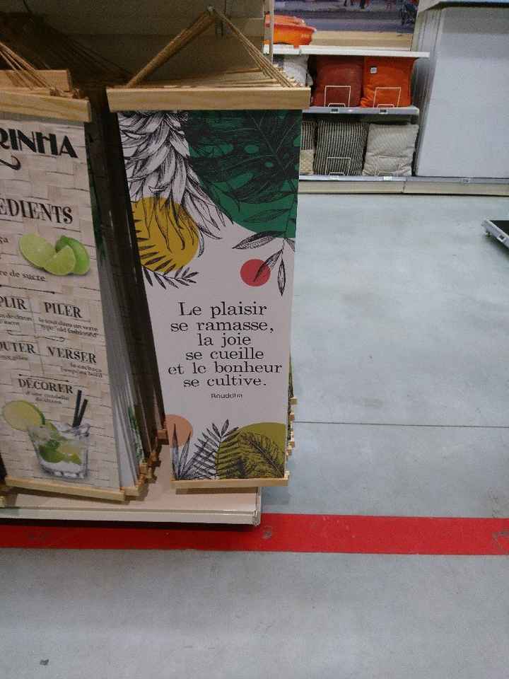 Entre maison, passion et préparation ^^ - 6