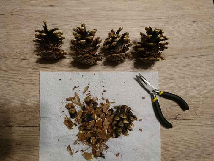 Avancées du jour, à vos avis les filles 😘 🌿 ! - 3