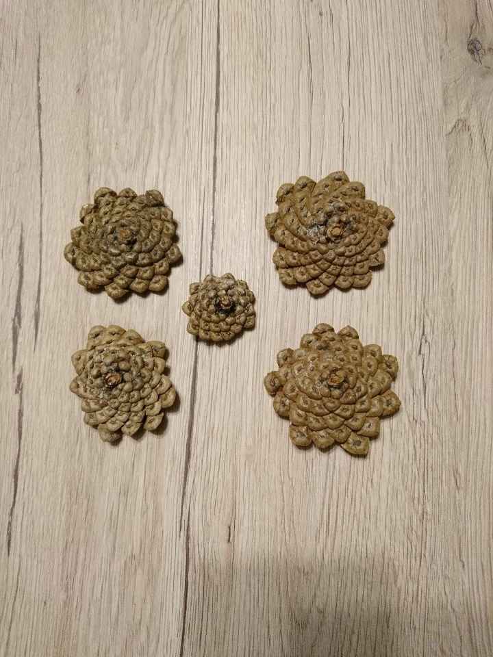 Avancées du jour, à vos avis les filles 😘 🌿 ! - 4