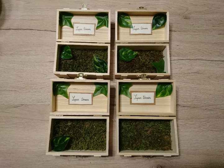 Menus finis et autres petites avancées 🌱 - 7
